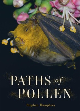 Paths of P …