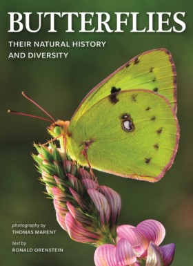 Butterflie &hellip;