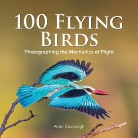 100 Flying &hellip;