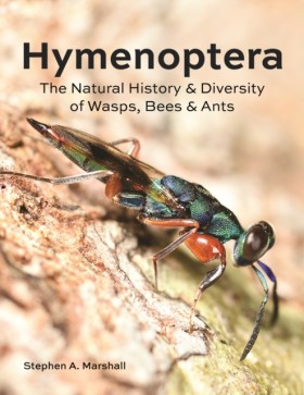 Hymenopter &hellip;