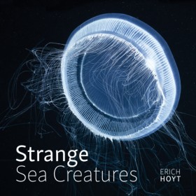 Strange Se &hellip;