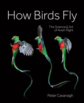 How Birds &hellip;