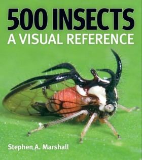 500 Insect &hellip;