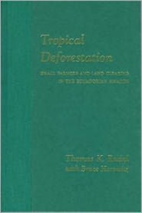 Tropical D …