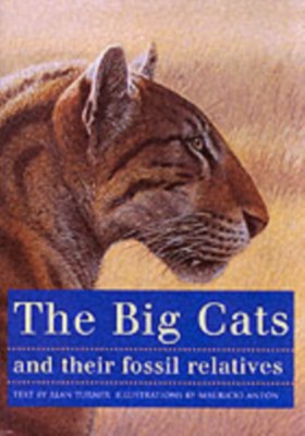 The Big Ca …