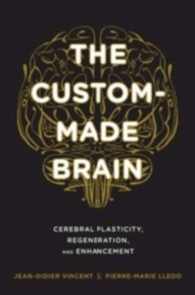 The Custom …