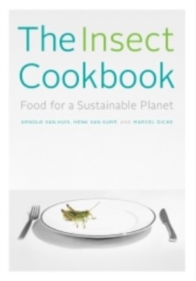 The Insect &hellip;