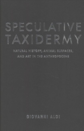 Speculativ …