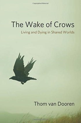 The Wake o …