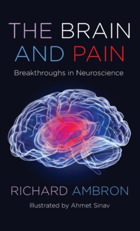 The Brain &hellip;