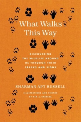 What Walks …