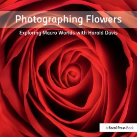 Photograph …