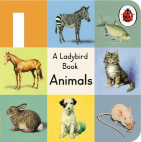 A Ladybird &hellip;