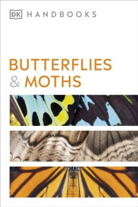 Butterflie …