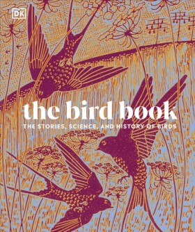 The Bird B &hellip;