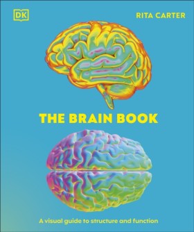 The Brain …