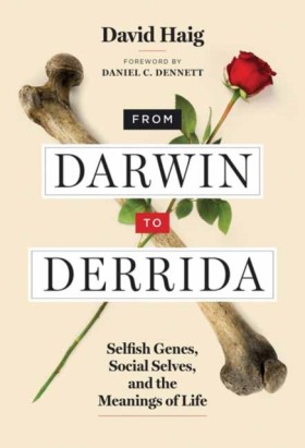 From Darwi …
