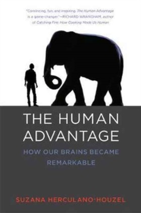 The Human …