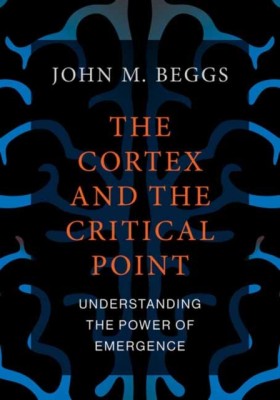 The Cortex …