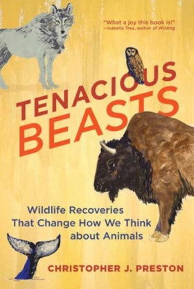 Tenacious &hellip;