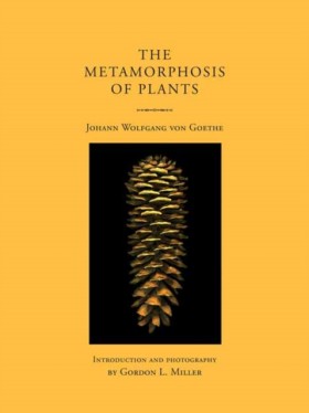 The Metamo …