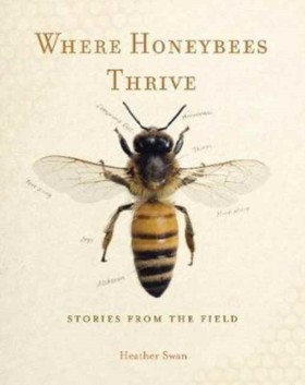 Where Hone &hellip;