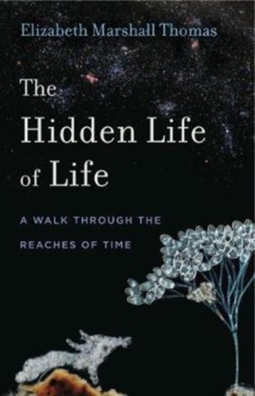 The Hidden &hellip;