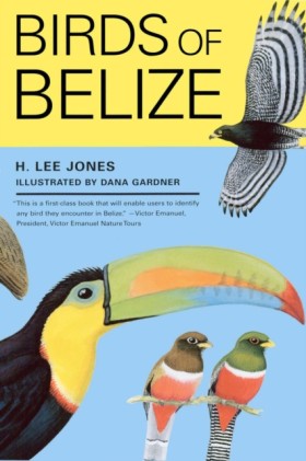 Birds of B &hellip;