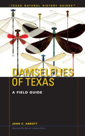 Damselflie &hellip;