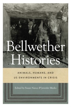 Bellwether …