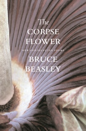 The Corpse &hellip;