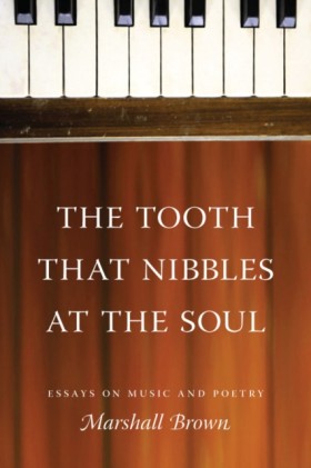 The Tooth &hellip;