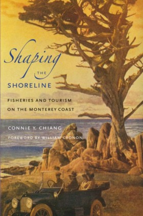 Shaping th …