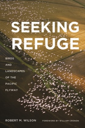 Seeking Re …