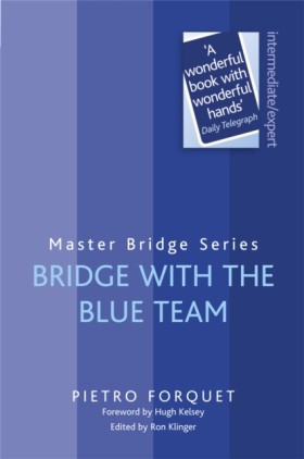 Bridge Wit &hellip;