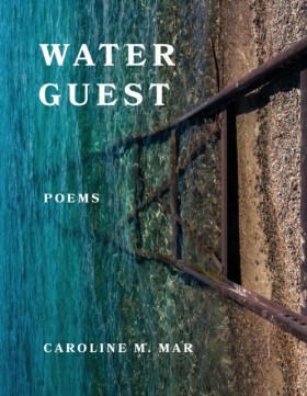 Water Gues …
