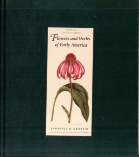 Flowers an &hellip;