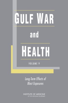 Gulf War a …