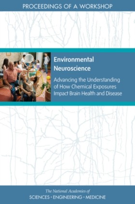 Environmen …