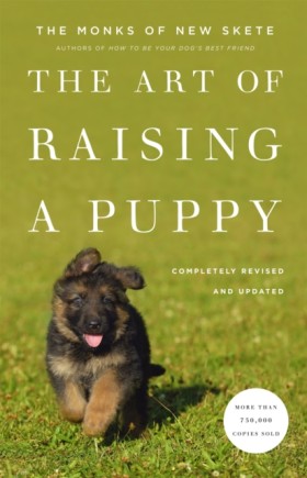 The Art Of &hellip;