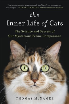 The Inner &hellip;