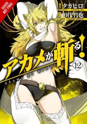 Akame ga K &hellip;