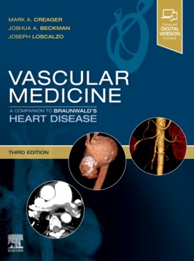 Vascular M …