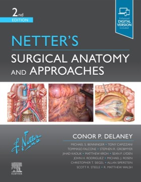 Netters Su &hellip;