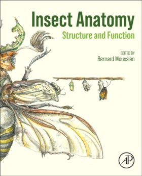 Insect Ana &hellip;