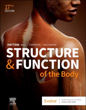 Structure …
