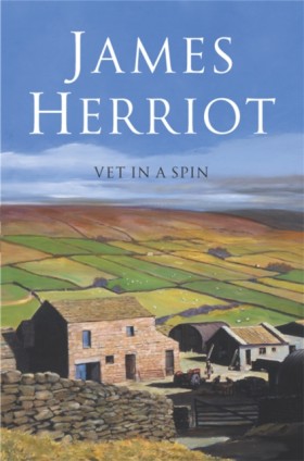 Vet in a S …