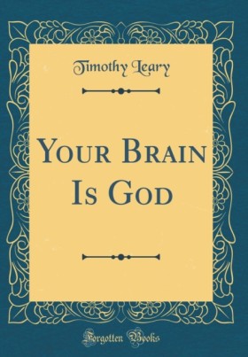 Your Brain …