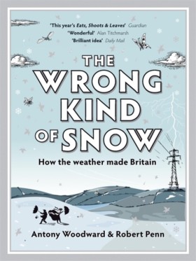The Wrong …