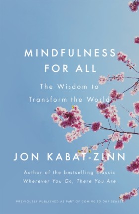Mindfulnes &hellip;